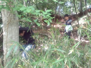 裏山を制覇せよ! 裏山を制覇せよ!