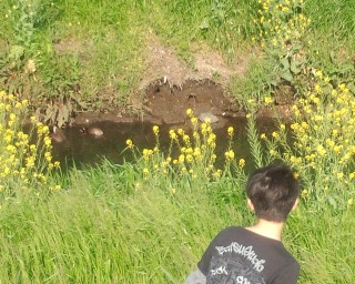 カモ!カメ! カモ!カメ!