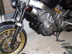 できぴょん! できぴょん!