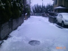 スキーできそう? スキーできそう?