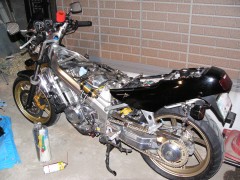 レーサーっぽ? レーサーっぽ?