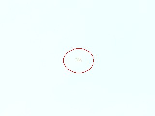 赤丸の中ね。 赤丸の中ね。