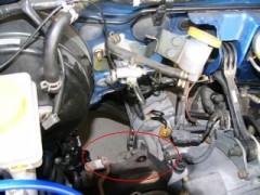 やっと取れた やっと取れた