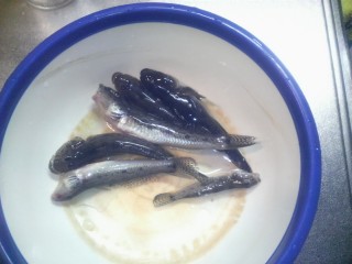 解剖用?おかず用? 解剖用?おかず用?