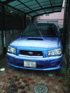 はいはい、雪ですね はいはい、雪ですね