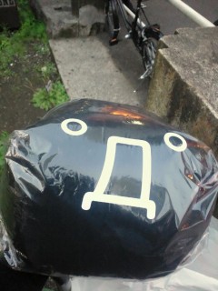 (゜Д゜) (゜Д゜)