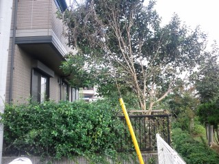 道路側が丸裸(ノ´∀`*) 道路側が丸裸(ノ´∀`*)