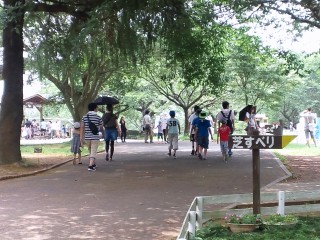 長男羊飼いGJ! 長男羊飼いGJ!