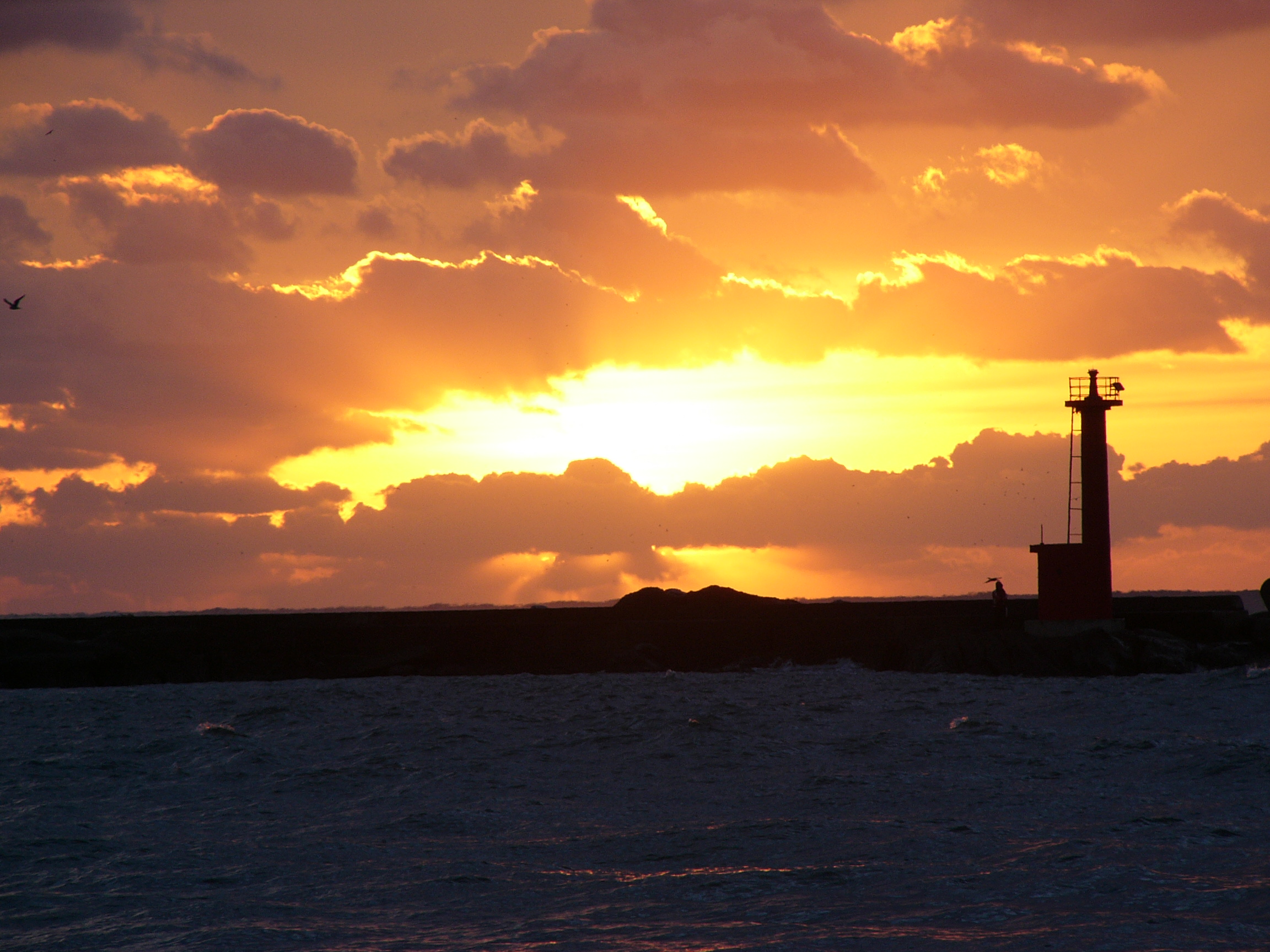 絵に描いたような表現力? 絵に描いたような表現力?