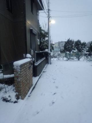 そこそこ積もった そこそこ積もった