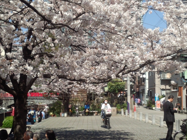 天気いいし! 天気いいし!