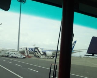 国内線仕様の787 国内線仕様の787