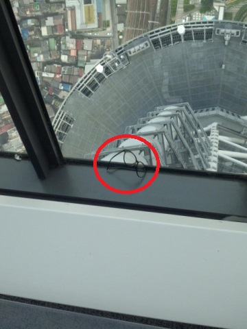 めがーね! めがーね!