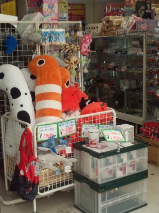 チンアナゴですね! チンアナゴですね!