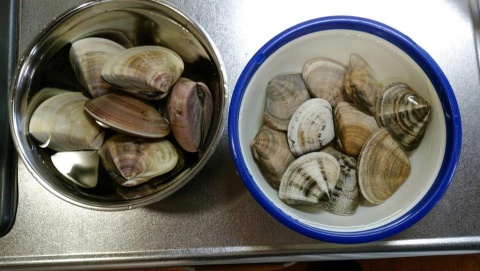 画像の説明 画像の説明