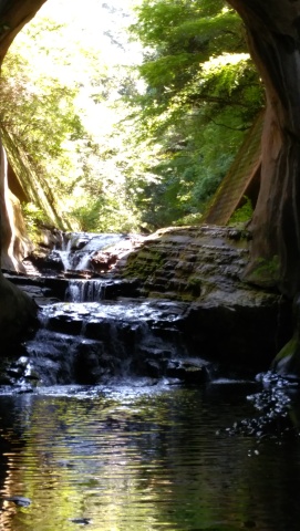 雰囲気のある滝 雰囲気のある滝
