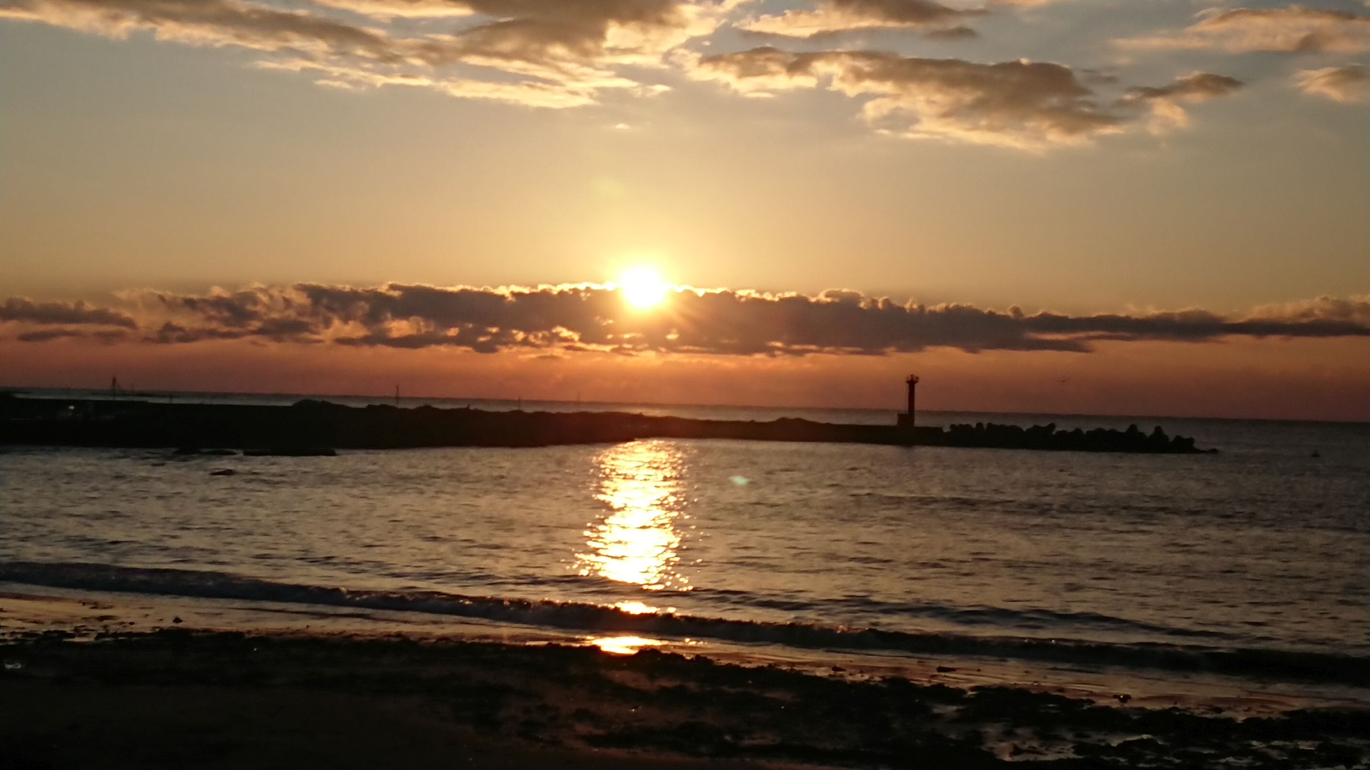 完全に出た! 完全に出た!