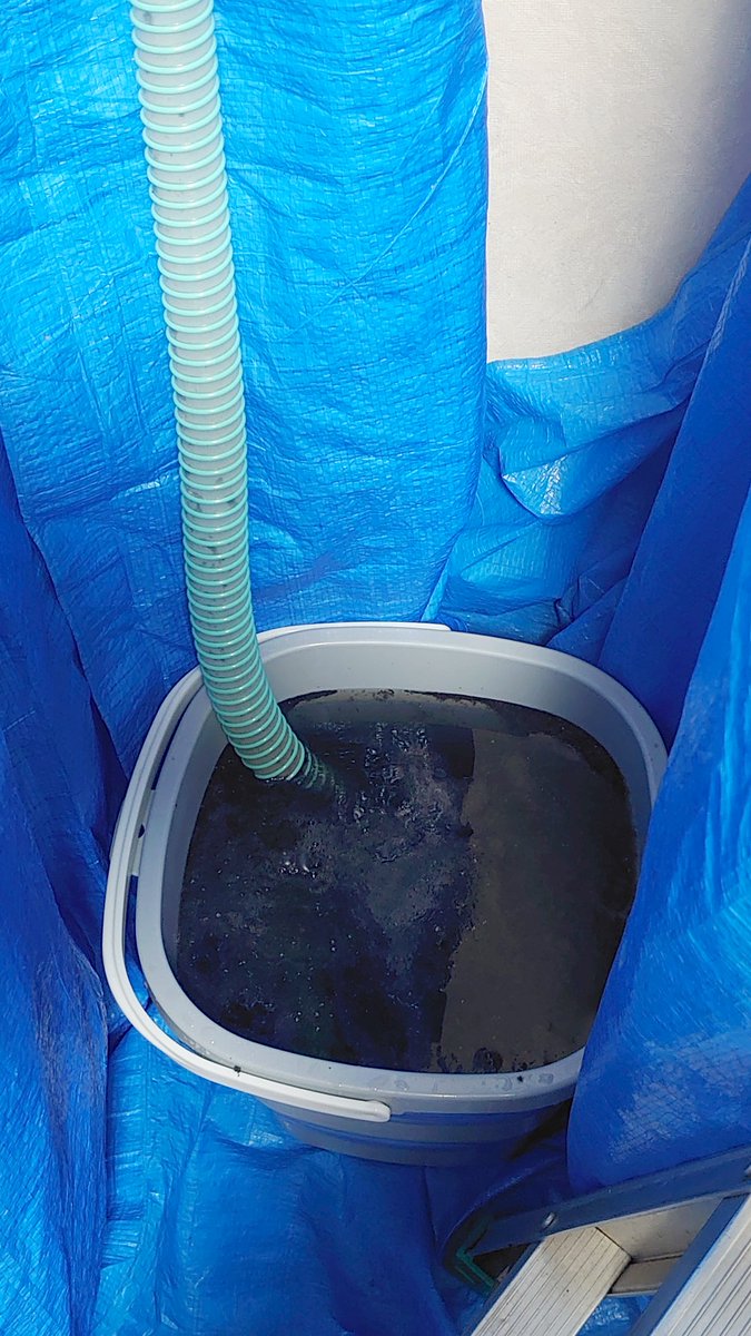 黒い汁orz 黒い汁orz